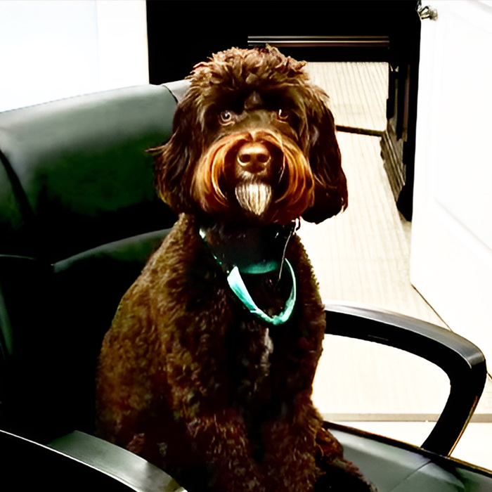 Soco Village | Bruno sitting at the front desk
