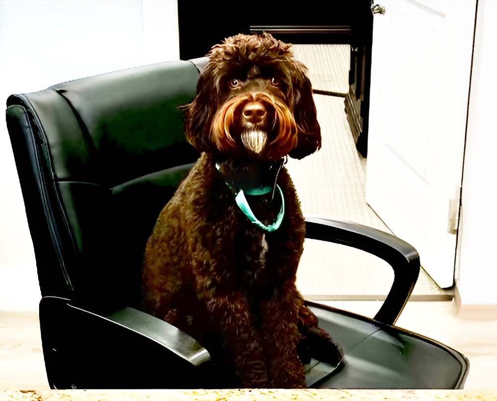 Soco Village | Bruno sitting at the front desk